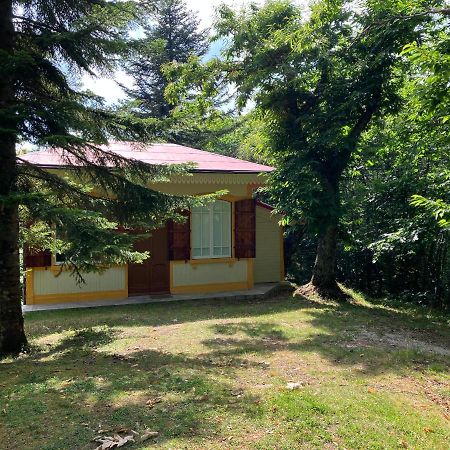 Villa Casa Del Castagno: Un Nido Nel Castagneto Pistoia Esterno foto