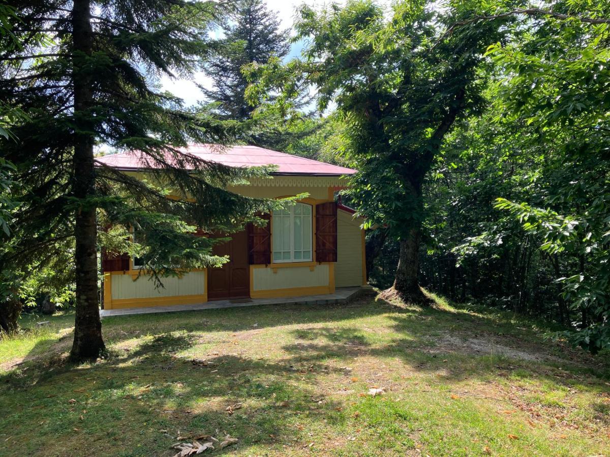Villa Casa Del Castagno: Un Nido Nel Castagneto Pistoia Esterno foto