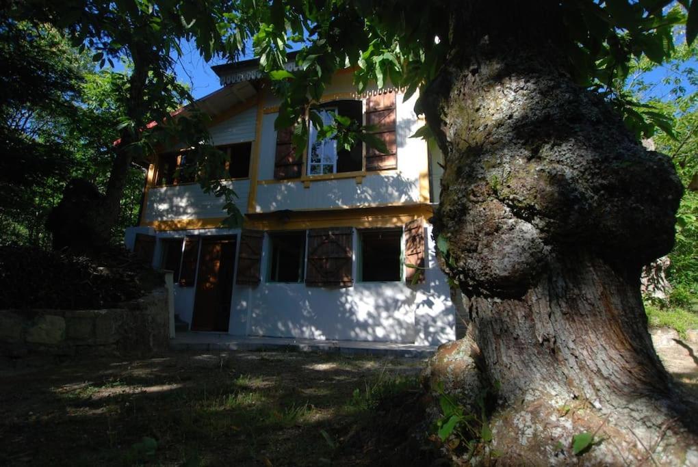 Villa Casa Del Castagno: Un Nido Nel Castagneto Pistoia Esterno foto